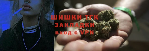 гидра Фёдоровский