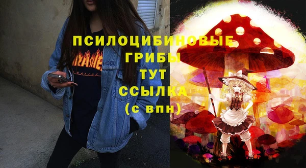 гидра Фёдоровский