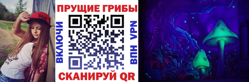магазин продажи   Агидель  Псилоцибиновые грибы Psilocybe 